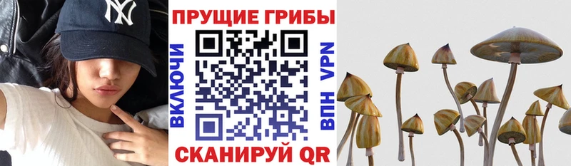 Псилоцибиновые грибы прущие грибы  MEGA ССЫЛКА  Нижние Серги 